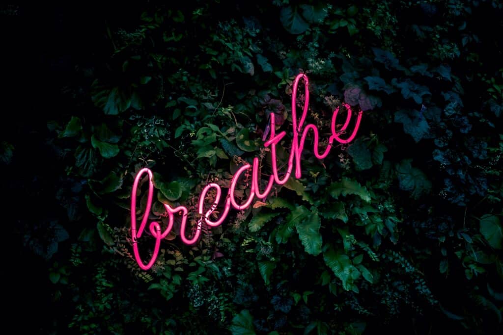 neon sign reading “breathe” over wall of plants
